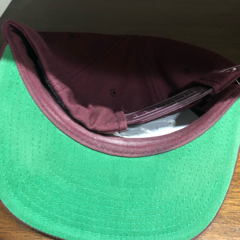 Beleafed SnapBack - Picture 3 of 3